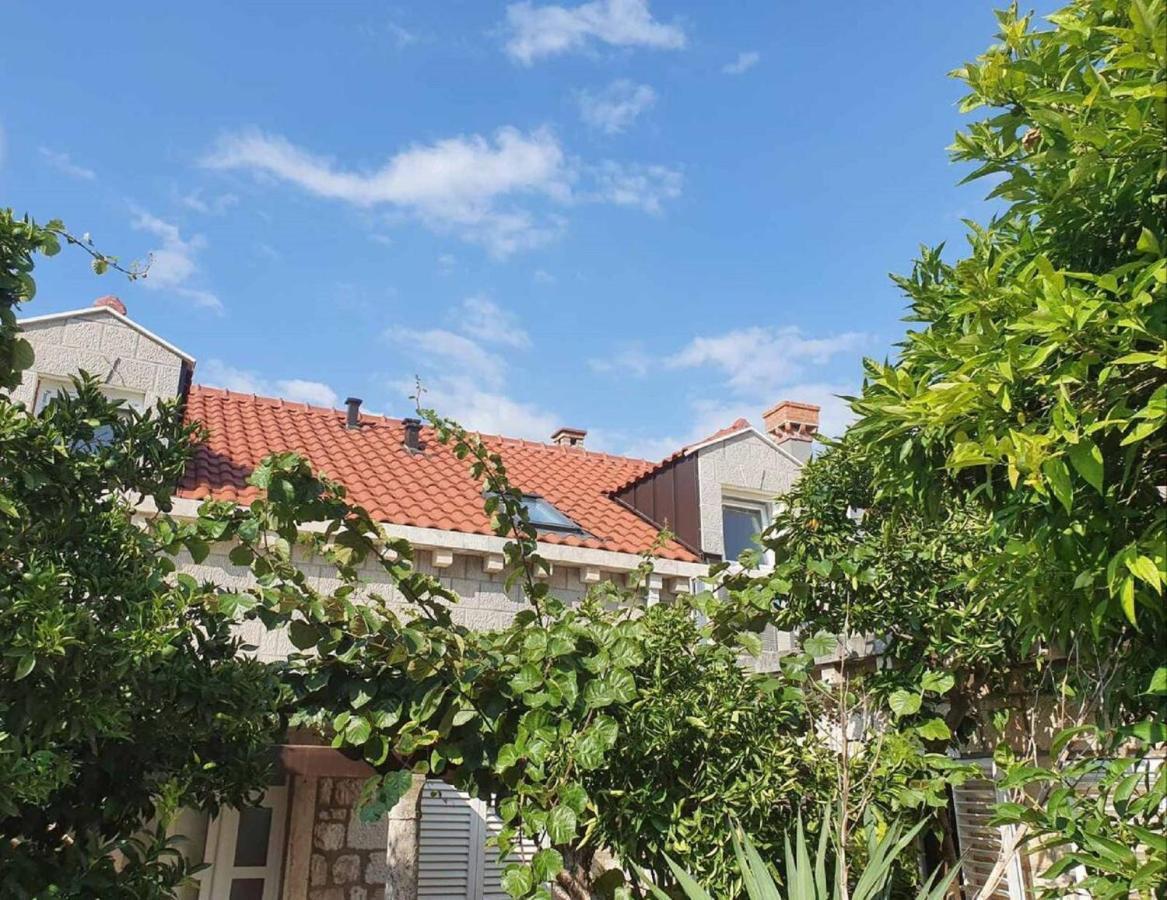 Apartment Karaka Dubrovnik